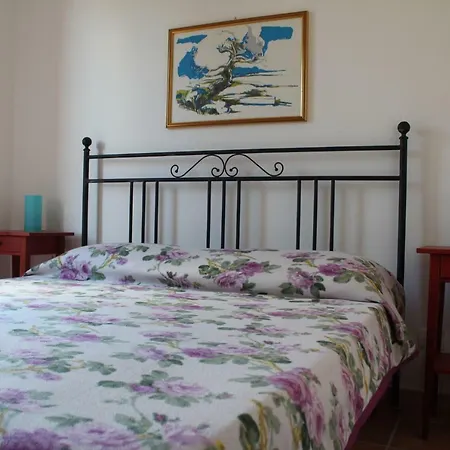 Con Giardino Mandarino Holiday home Macari